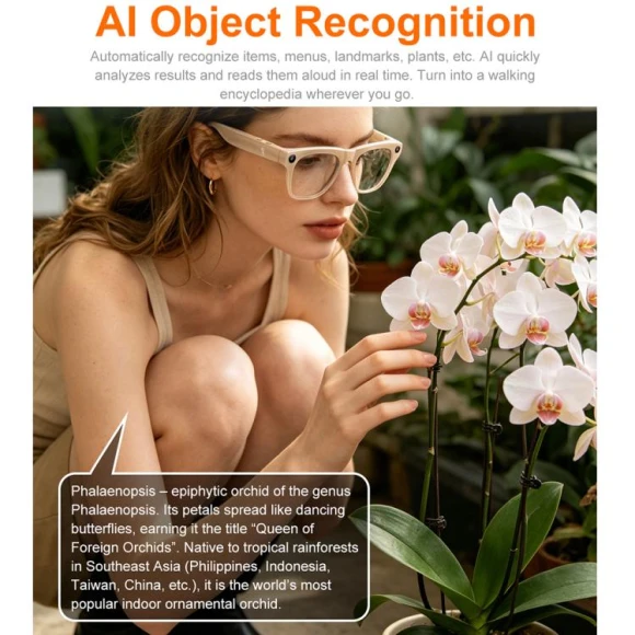 Smart AI Translation Glasses — Smart Glasses