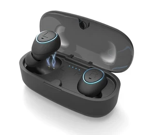 True wireless earphones — Wireless Earbuds