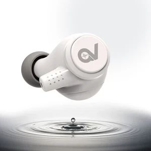 True wireless earbuds — Wireless Earbuds