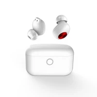 Wireless earbuds — Wireless Earbuds