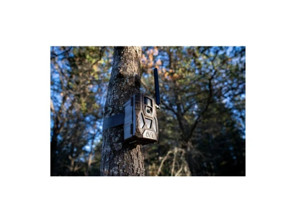 Matrix 2.0 Cellular Camera — Digital Cameras & Camcorders, Muddy Outdoors