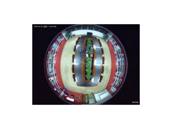 1080P Fisheye Panoramic Surveillance Camera — Security Camera, Bluecctv