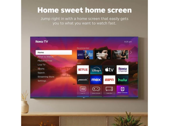 55-inch Smart TV — Smart TV, Roku