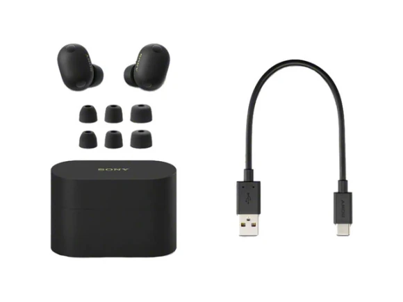 Truly Wireless Noise-Cancelling Earbuds — Wireless Earbuds, Sony