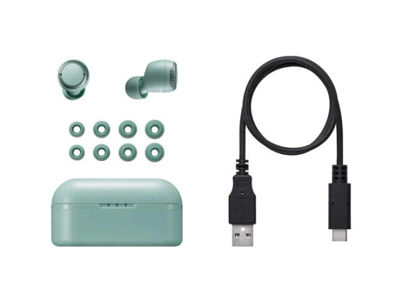True Wireless Bluetooth Earphones — Wireless Earbuds, Panasonic