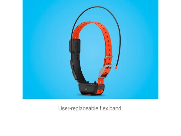 GPS Dog Tracking and Training Collar — Dog GPS Tracker, Garmin