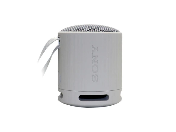 Noise-Canceling Wireless Headphones and Speaker Bundle — Wireless Earbuds, Sony