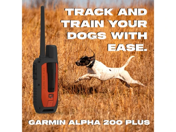 Dog Tracking and Training GPS Handheld with Dog Collar — Dog GPS Tracker, Garmin