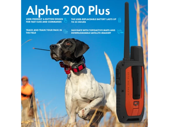 Dog Tracking and Training GPS Handheld with Tracking Collar — Dog GPS Tracker, Garmin