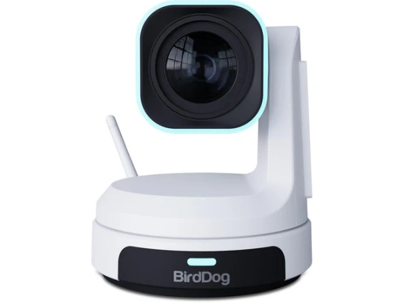 PTZ Camera X1 30W — Security Camera, BirdDog