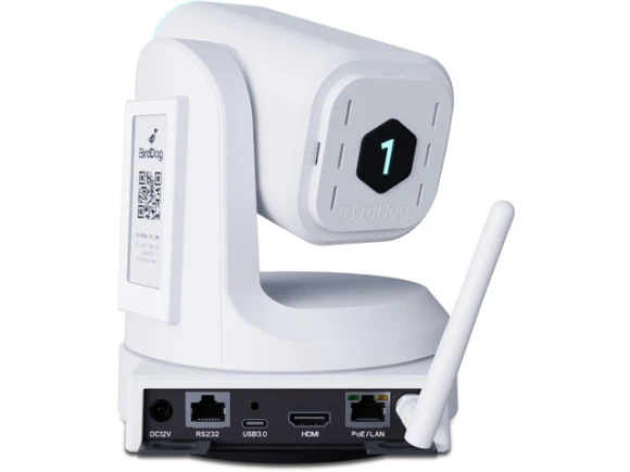 PTZ Camera X1 30W — Security Camera, BirdDog