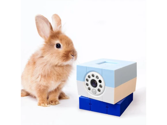 Indoor Security Camera for Pets Petite — Security Camera, Amaryllo