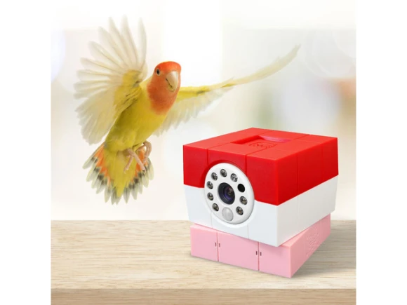 Petite Indoor Security Camera — Security Camera, Amaryllo