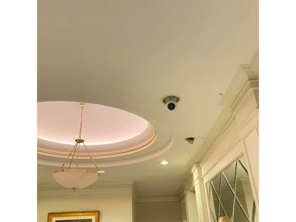 Security Camera — Security Camera, Amaryllo
