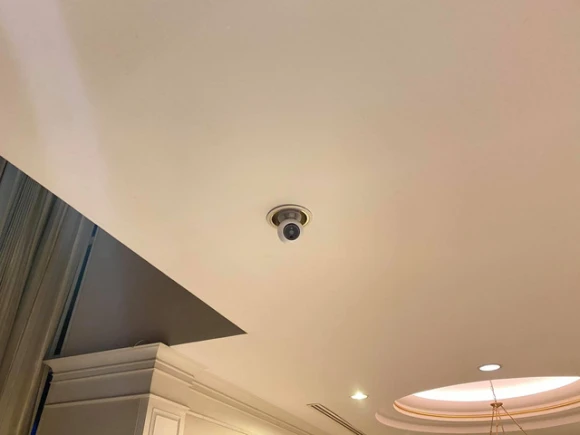 Security Camera — Security Camera, Amaryllo