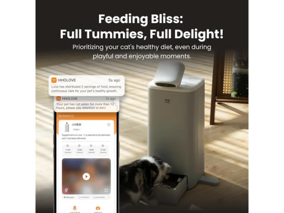 Automatic Cat Feeder with Camera and Laser Toy — Automatic Pet Feeder, GCROWN
