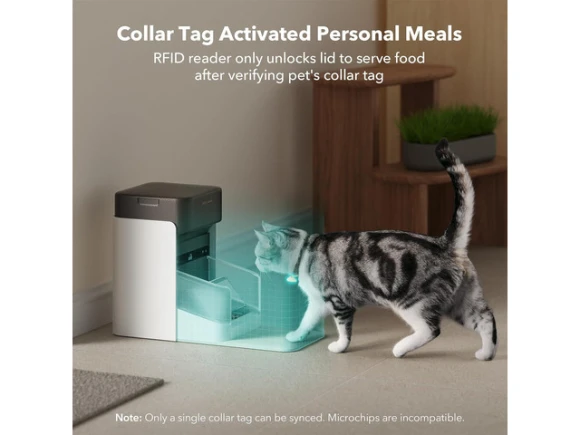 Automatic Cat Feeder — Automatic Pet Feeder, GCROWN