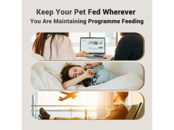 Automatic Pet Dry Food Dispenser — Automatic Pet Feeder, GCROWN