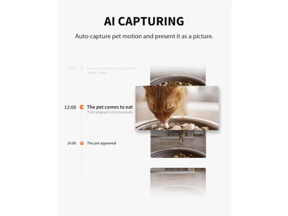 Automatic Pet Feeder with Camera — Automatic Pet Feeder, GCROWN