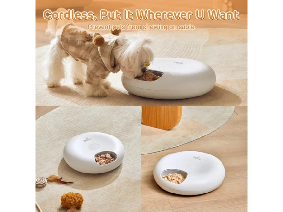 Frost 6 Meal Automatic Pet Feeder — Automatic Pet Feeder, GCROWN
