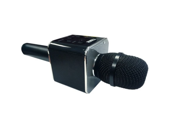 Handheld Karaoke All-in-One System — Karaoke Machine, Naxa