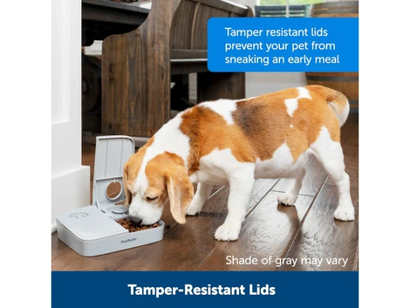 Programmable Pet Feeder — Automatic Pet Feeder, GCROWN