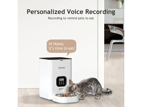Timed Pet Feeder — Automatic Pet Feeder, GCROWN