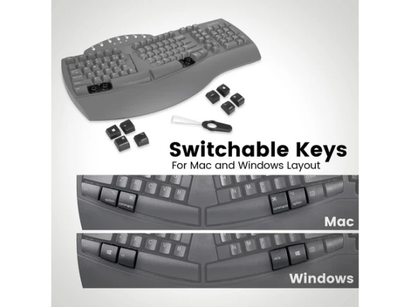 Wireless Ergonomic Split Keyboard — Bluetooth Keyboard, Perixx