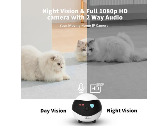 Security Camera — Security Camera, Graviton