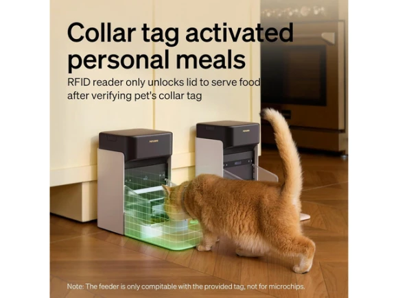 Automatic Cat Feeder — Automatic Pet Feeder, Explus-C