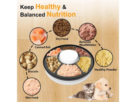 Automatic Pet Feeder — Automatic Pet Feeder, Explus-C