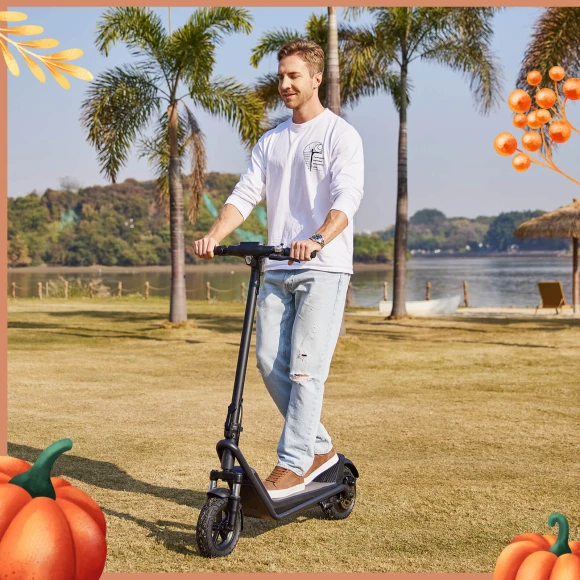 Electric Scooter for Adults, 18/25 Mile Range, 20Mph Top Speed, 500W Motor — Electric Scooter, HOVERFLY