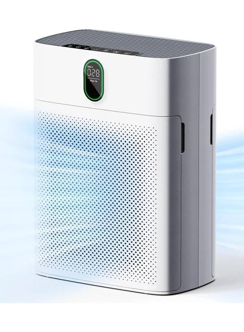 Air Purifier for Large Rooms — Air Purifier, EZBASICS