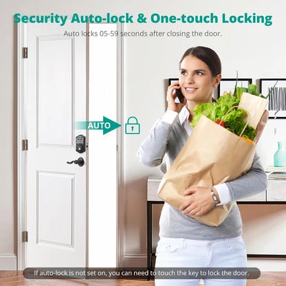 Keyless Entry Door Lock with Handle — Smart Lock, AkaGear