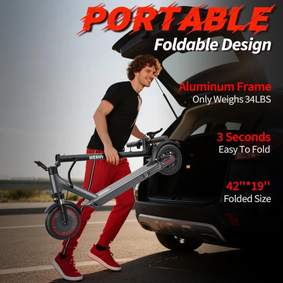 Electric Scooter, WERHY