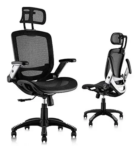 Ergonomic Office Chair with Headrest, Flip-Up Arms, and Wide Cushion — Smart Chairs, GABRYLLY
