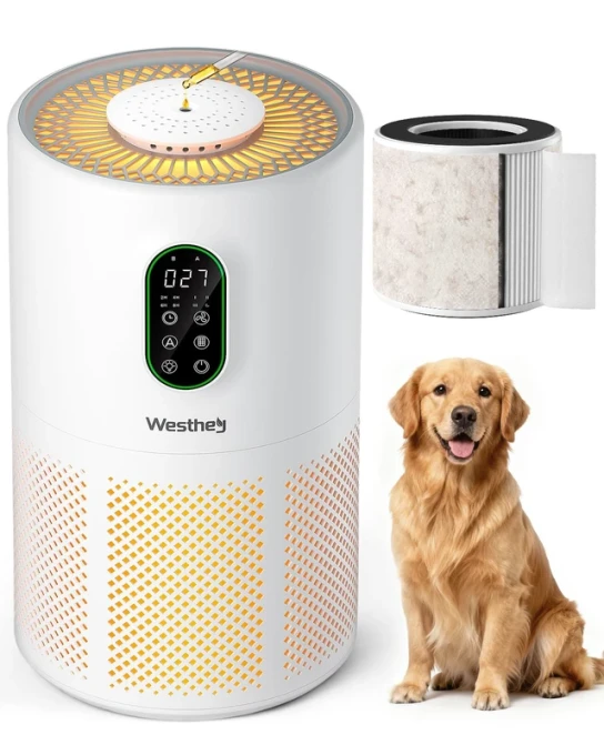 Large Room Air Purifier with HEPA Filter and Night Light, WESTHEY