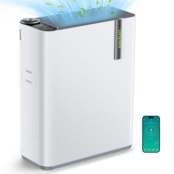 Large Room Air Purifier, Dhyala