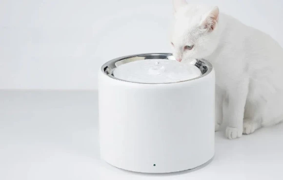 Cat Water Fountain with Wireless Pump — Cat Water Fountain, PETKIT