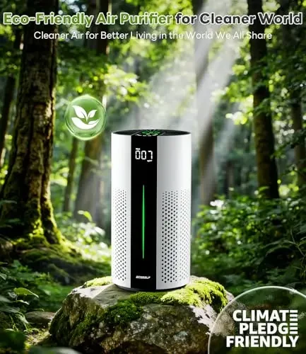 Air Purifier for Large Rooms — Air Purifier, ECOSELF
