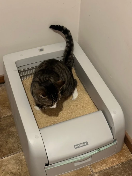 Clumping Self-Cleaning Litter Box with Health Counter — Self-Cleaning Litter Box, PetSafe