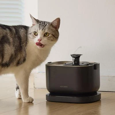 Cordless Cat Water Fountain — Cat Water Fountain, PETLIBRO