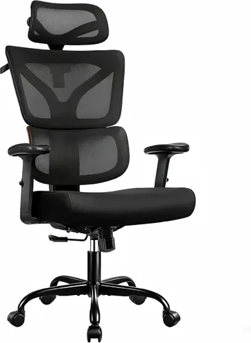 Ergonomic Office Chair with Footrest — Smart Chairs, TECHREST