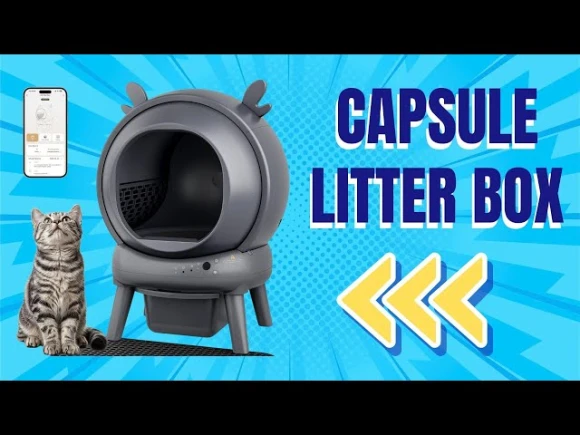 Automatic Self Cleaning Litter Box — Self-Cleaning Litter Box, Furrykiddy