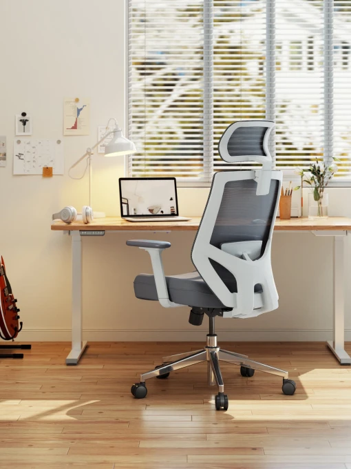 Ergonomic Mesh Office Chair with 3D Adjustable Lumbar Support and 3D Armrests, V-Shaped Back, Adjustable Desk Chair for... — Smart Chairs, HOLLUDLE