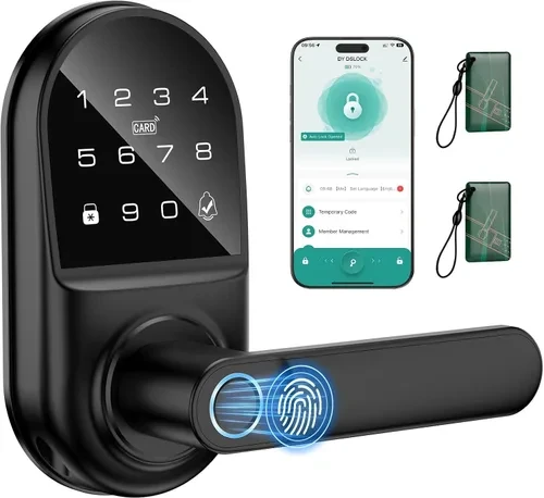 Smart Keypad Door Lock with Handle — Smart Lock, Bog fang