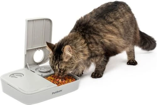 Analog 2 Meal Programmable Pet Feeder — Automatic Pet Feeder, PetSafe