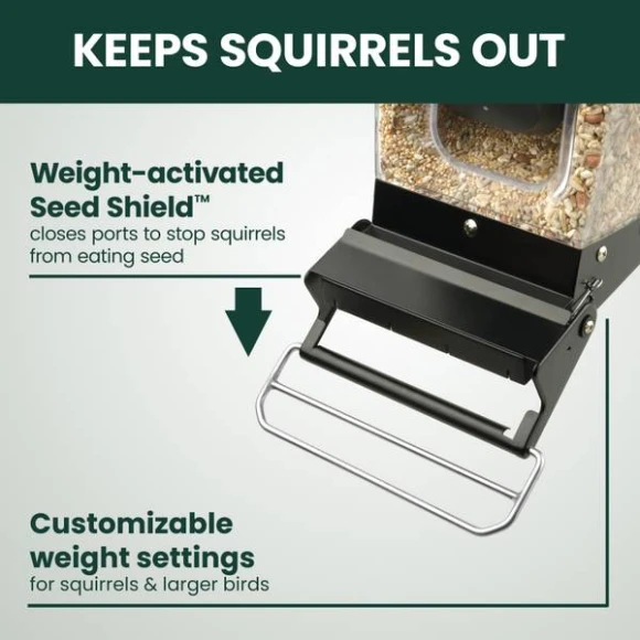 Solar Powered Smart Bird Feeder with Camera — Smart Bird Feeder, Perky-Pet