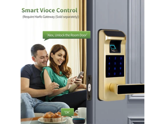 Gold Smart Door Lock — Smart Lock, Generic Logic, Inc.