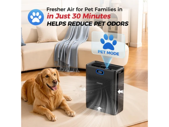 HEPA Air Purifier — Air Purifier, Purivortex